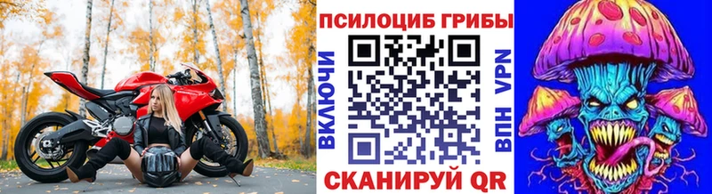 МЕГА маркетплейс  Мурманск  Псилоцибиновые грибы прущие грибы 